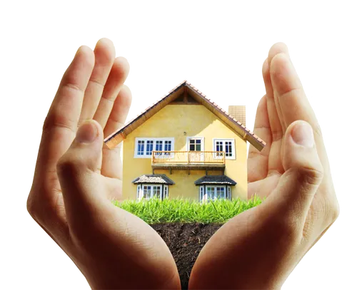 support services Consultancy Support